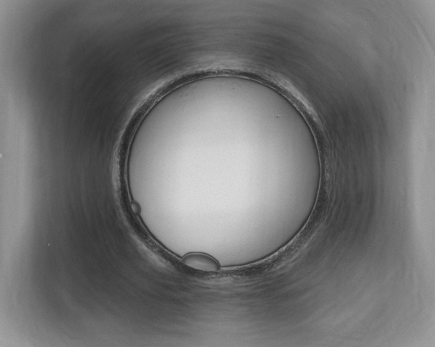 X0000112540629200908171207
