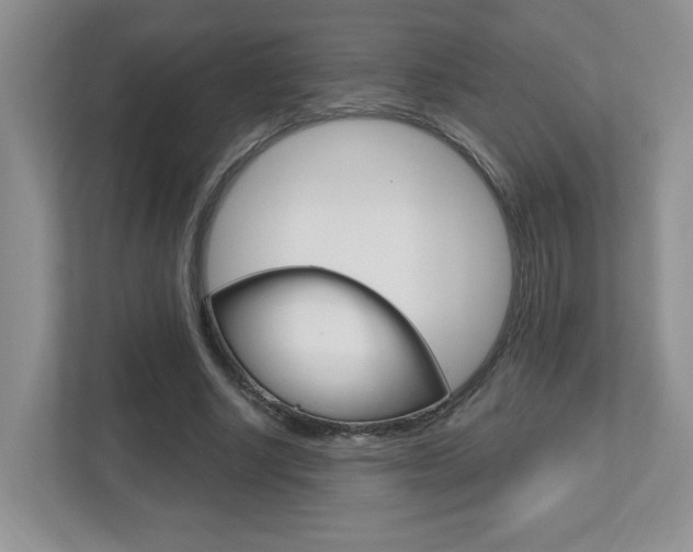 X0000112540634200908171207