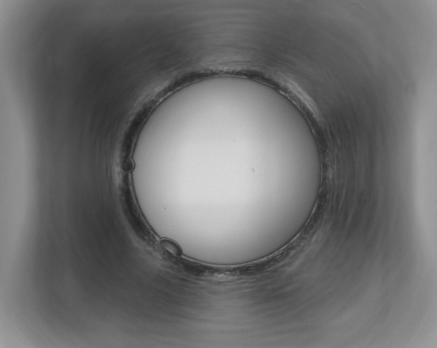 X0000112540635200908171207