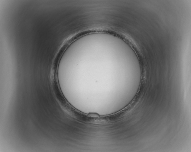 X0000112540636200908171207