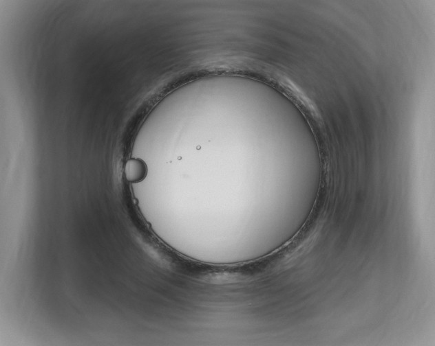 X0000112540637200908171207