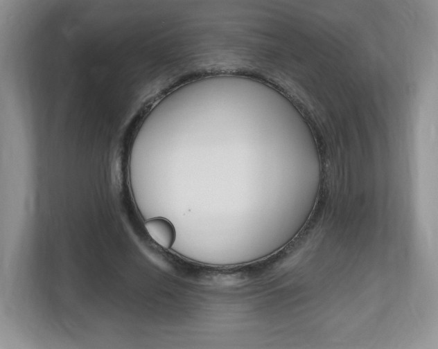 X0000112540638200908171207