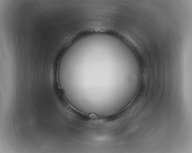 X0000112540639200908171207