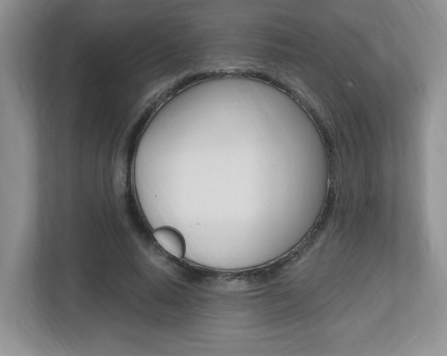 X0000112540640200908171207