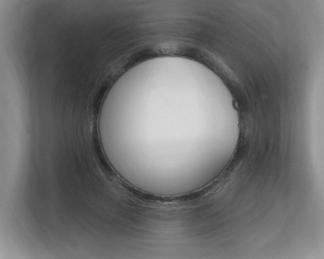 X0000112540645200908171207