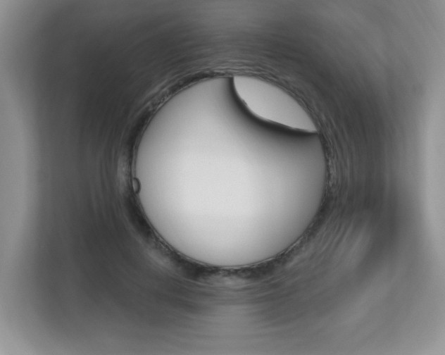 X0000112540648200908171207