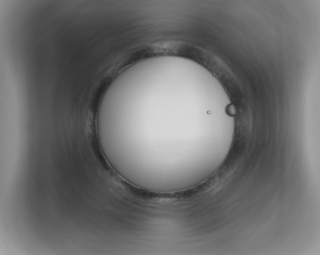 X0000112540649200908171207