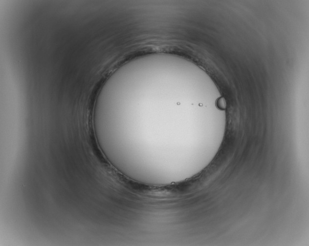 X0000112540650200908171207