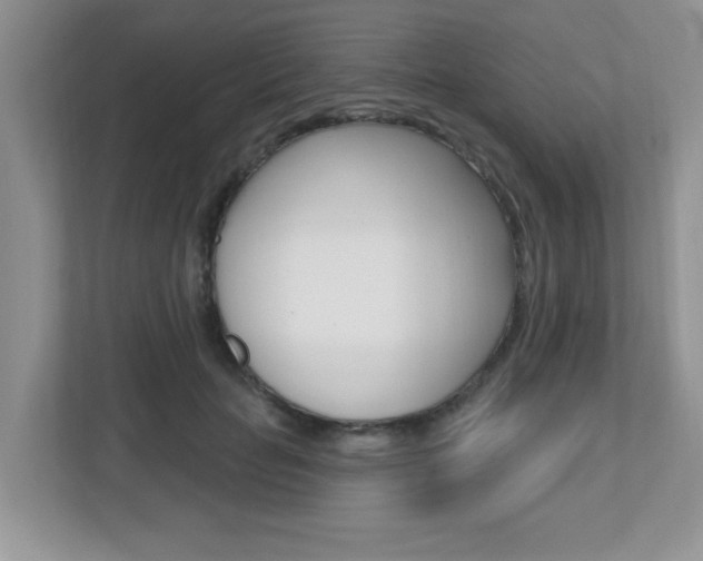 X0000112540653200908171207