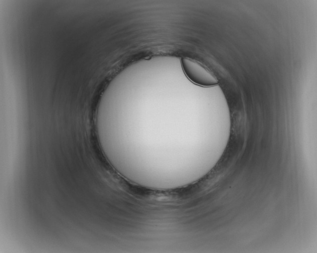 X0000112540655200908171207