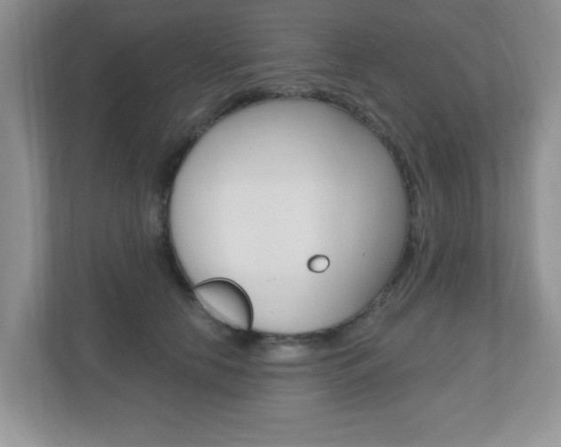 X0000112540658200908171207