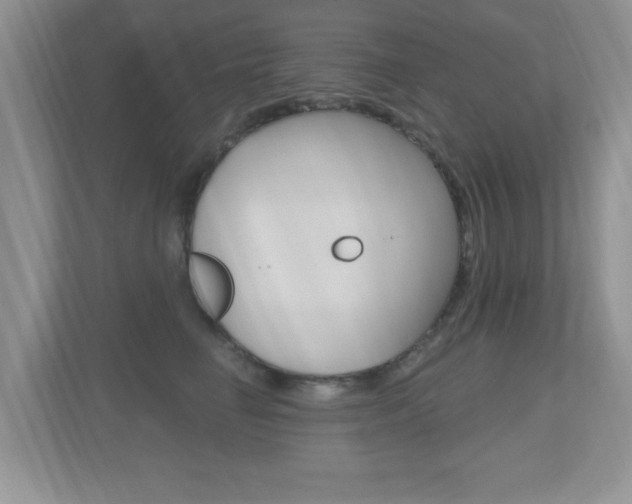X0000112540662200908171207
