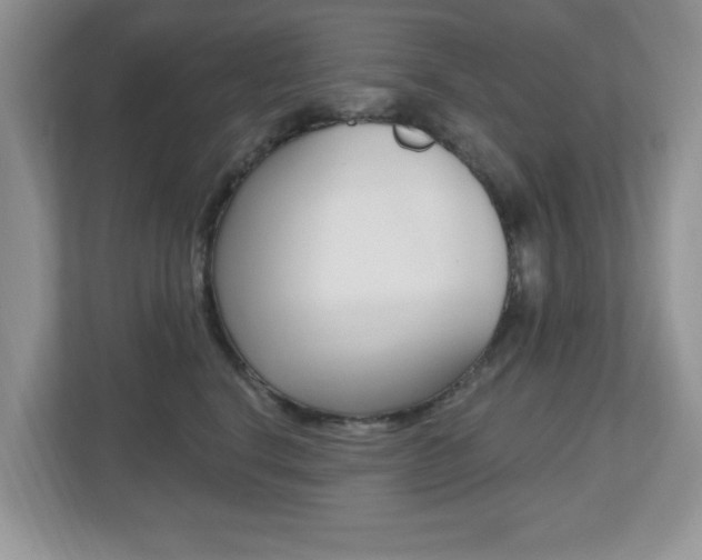 X0000112540664200908171207