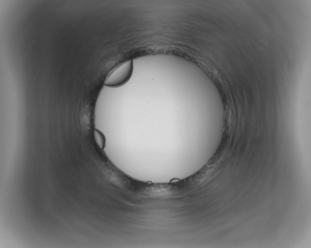 X0000112540668200908171207