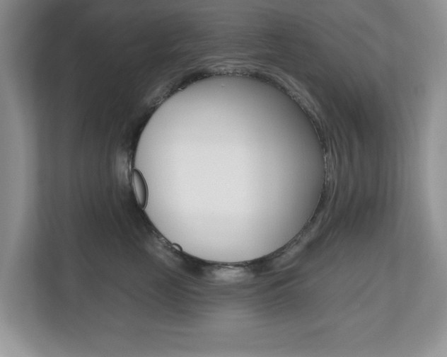 X0000112540669200908171207
