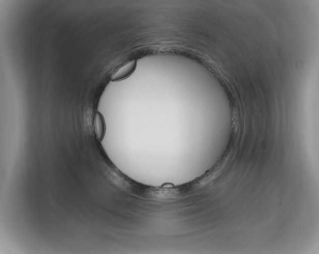 X0000112540670200908171207