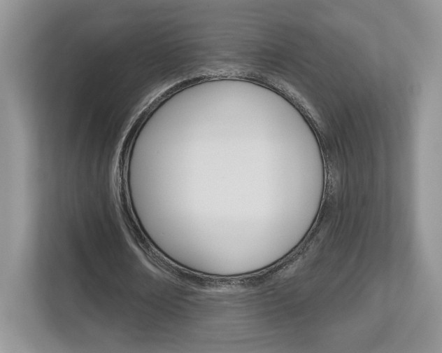 X0000112540674200908171207
