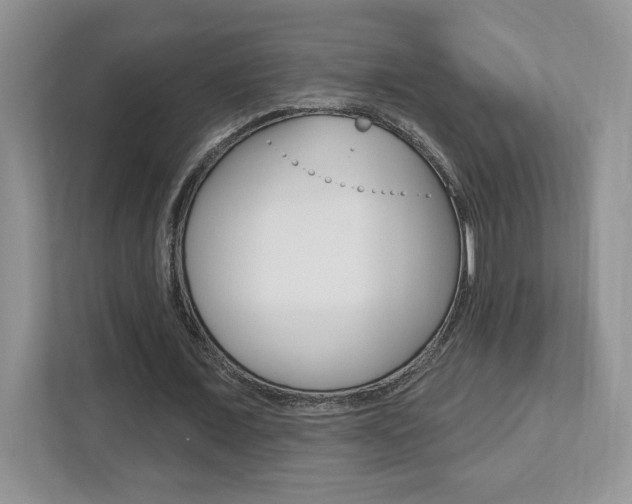 X0000112540675200908171207