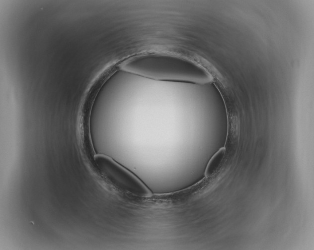 X0000112540676200908171207