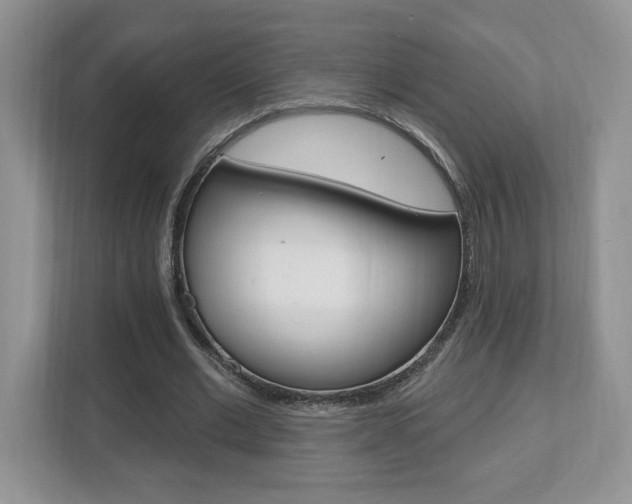 X0000112540677200908171207