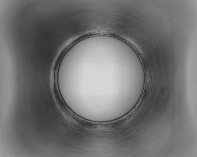 X0000112540678200908171206