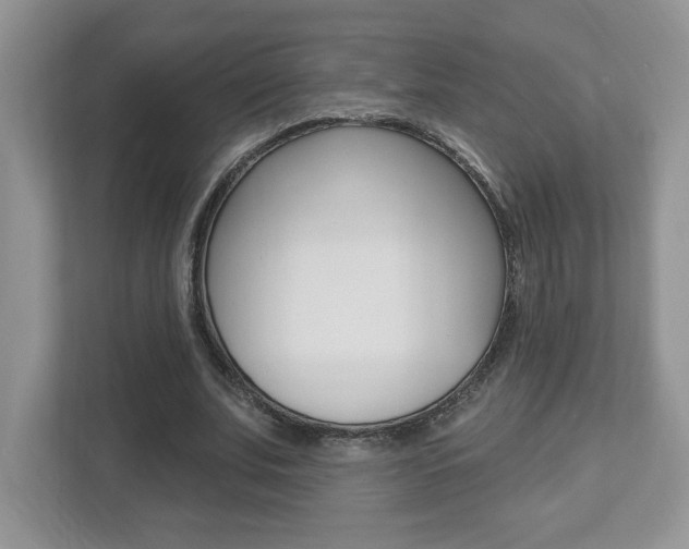 X0000112540679200908171206