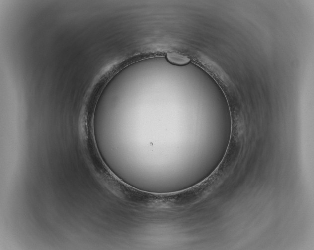 X0000112540680200908171206