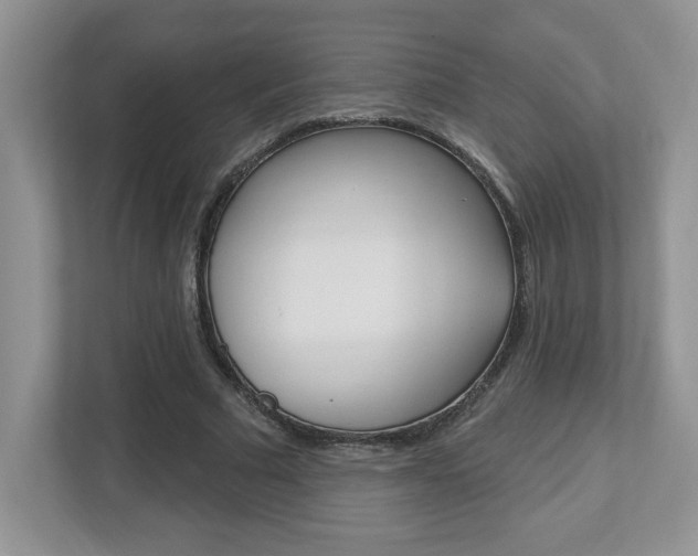 X0000112540681200908171206