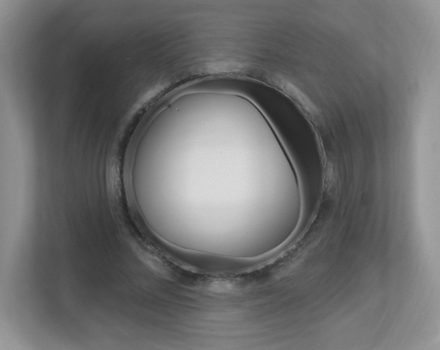 X0000112540684200908171206