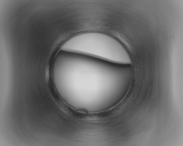 X0000112540685200908171206