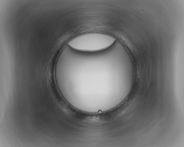 X0000112540687200908171206