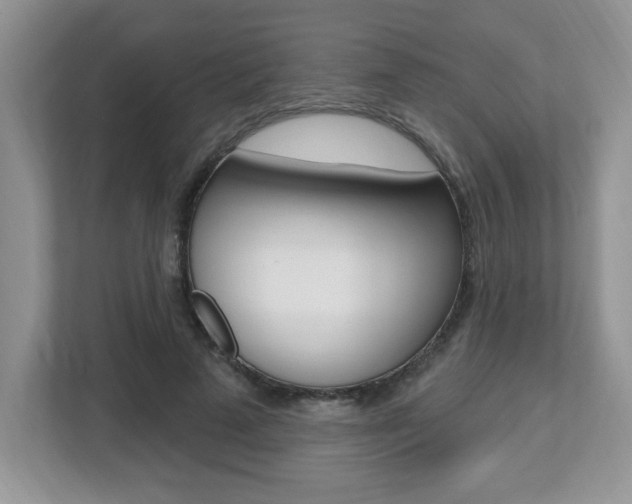 X0000112540689200908171206