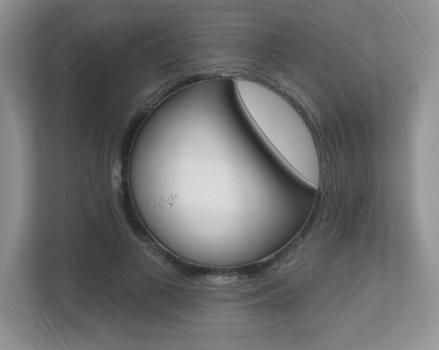 X0000112540693200908171206
