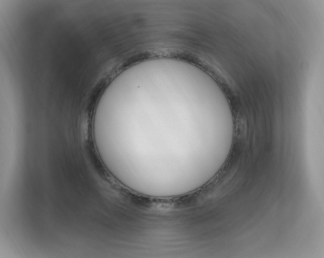 X0000112540694200908171206