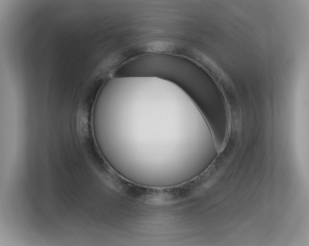 X0000112540696200908171206