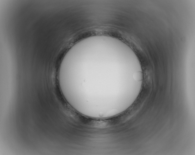 X0000112540698200908171206