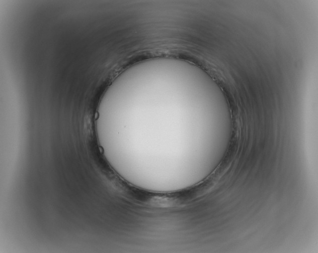 X0000112540699200908171206