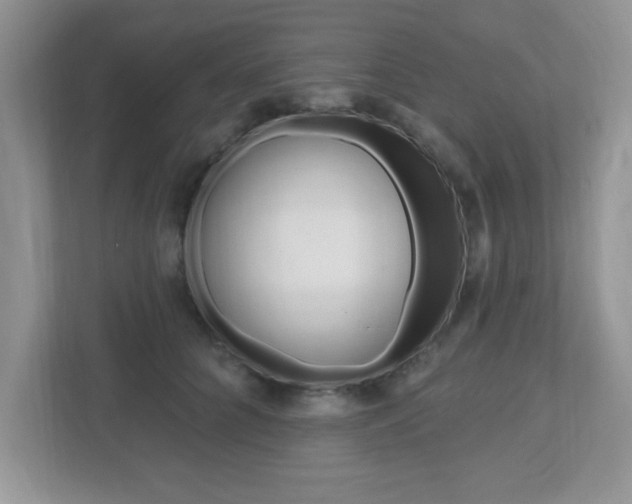 X0000112540704200908171206