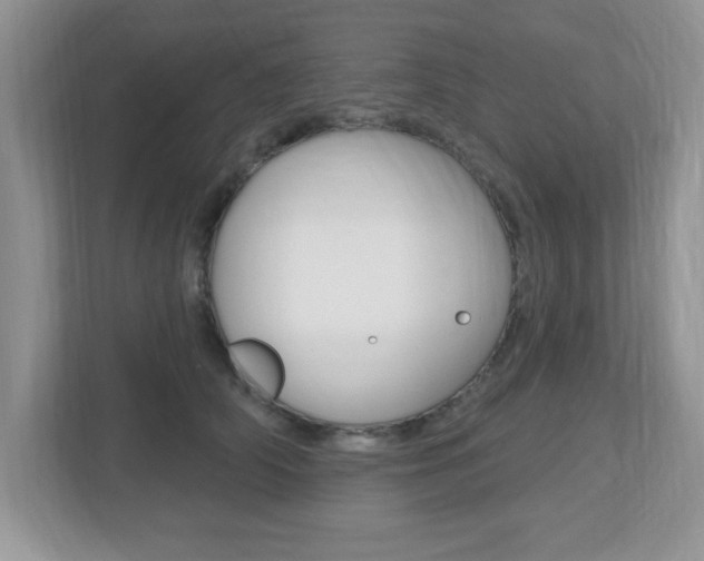 X0000112540706200908171206