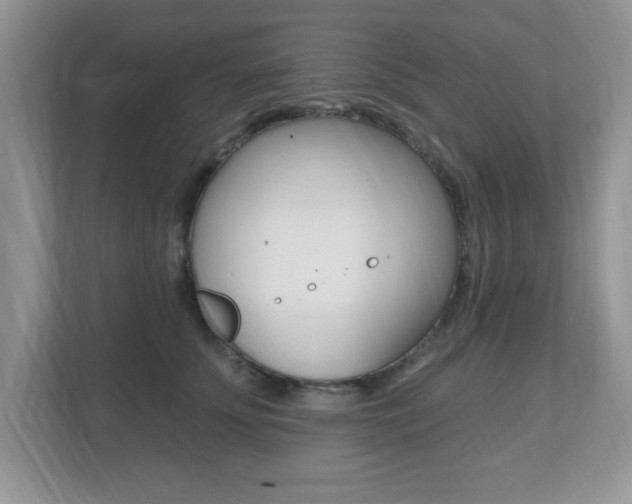X0000112540707200908171206