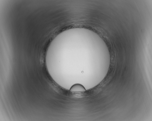 X0000112540710200908171206