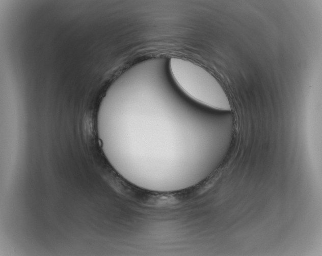 X0000112540715200908171206
