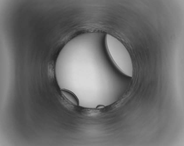 X0000112540719200908171206