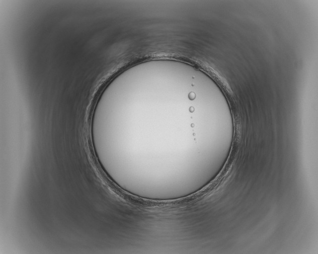 X0000112540721200908171205