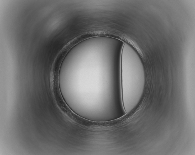 X0000112540722200908171205