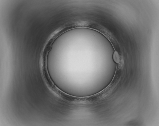 X0000112540726200908171205