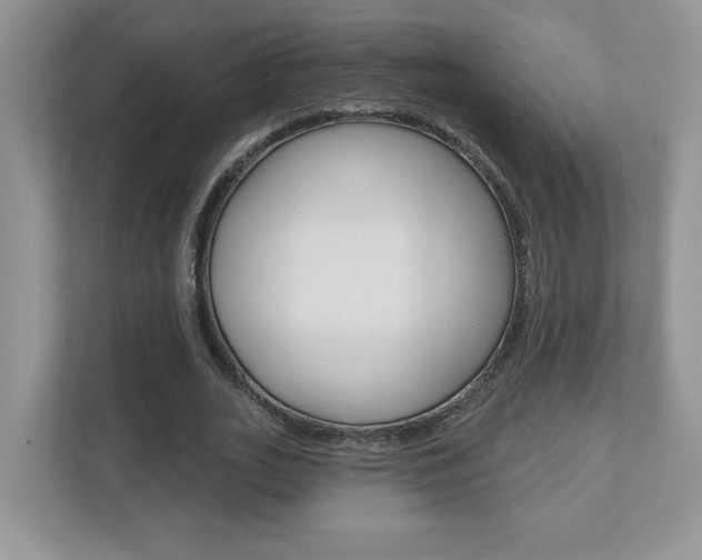 X0000112540727200908171205