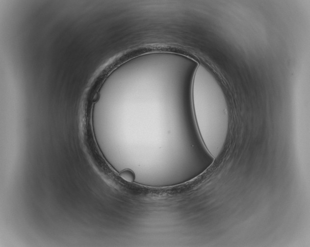 X0000112540728200908171205