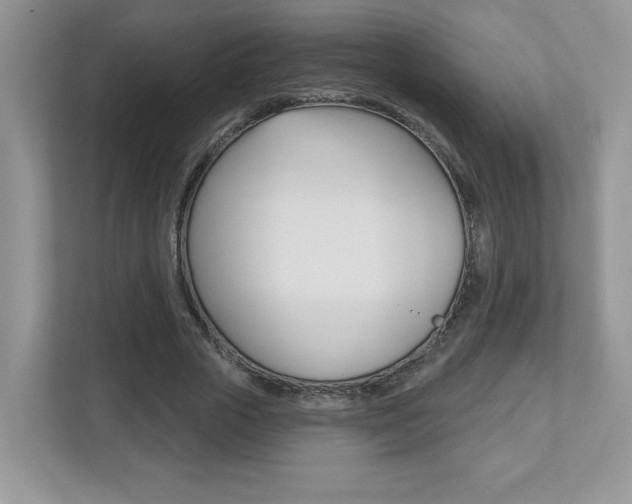 X0000112540729200908171205