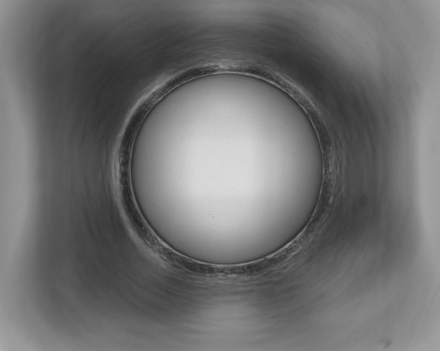X0000112540730200908171205